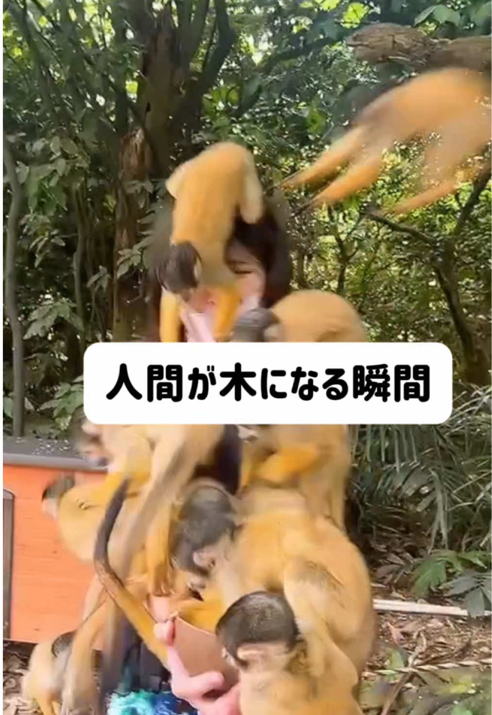@秘密の♡街角懺悔