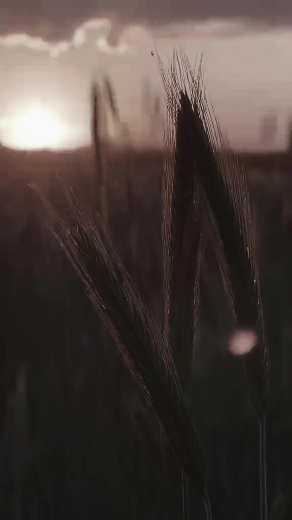 @BvMkG