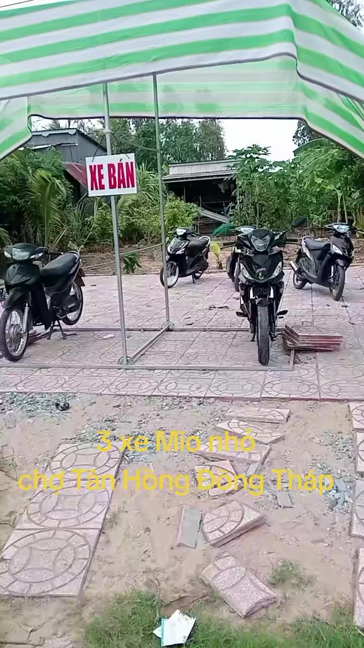 @CKP