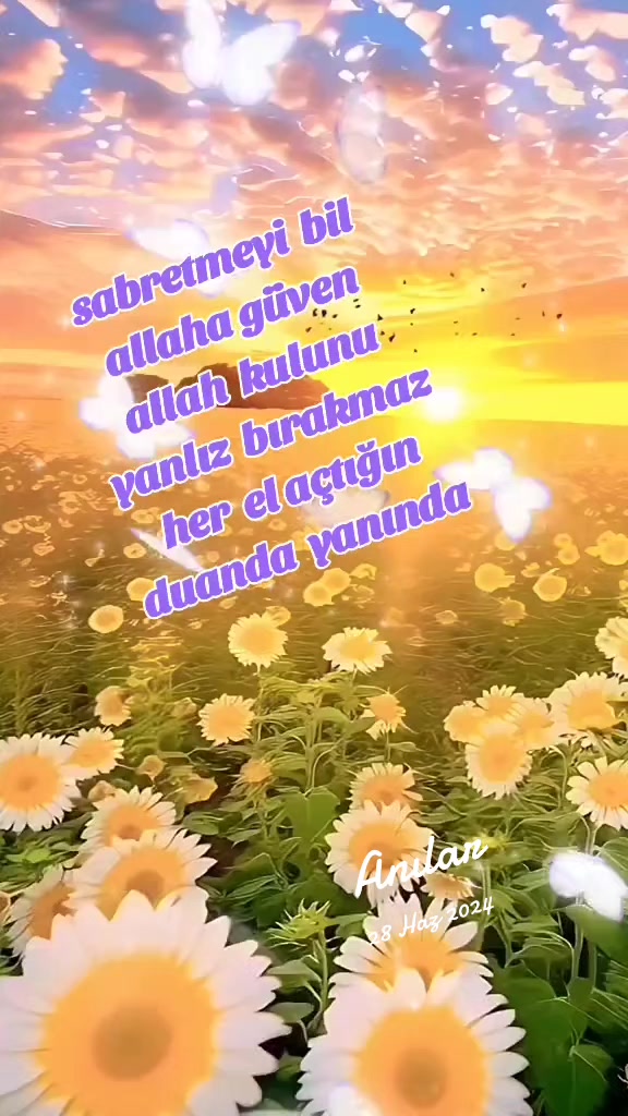 @Naime Sultan