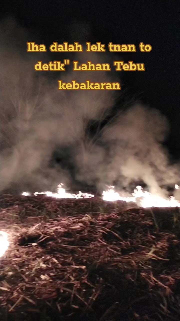 @bangjuanda591