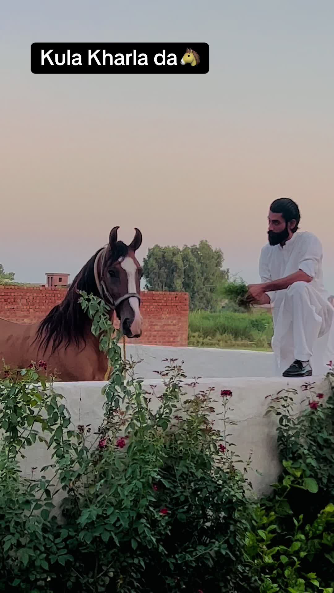@کھرل  ہارس مین شپ کلب ڈنگہ