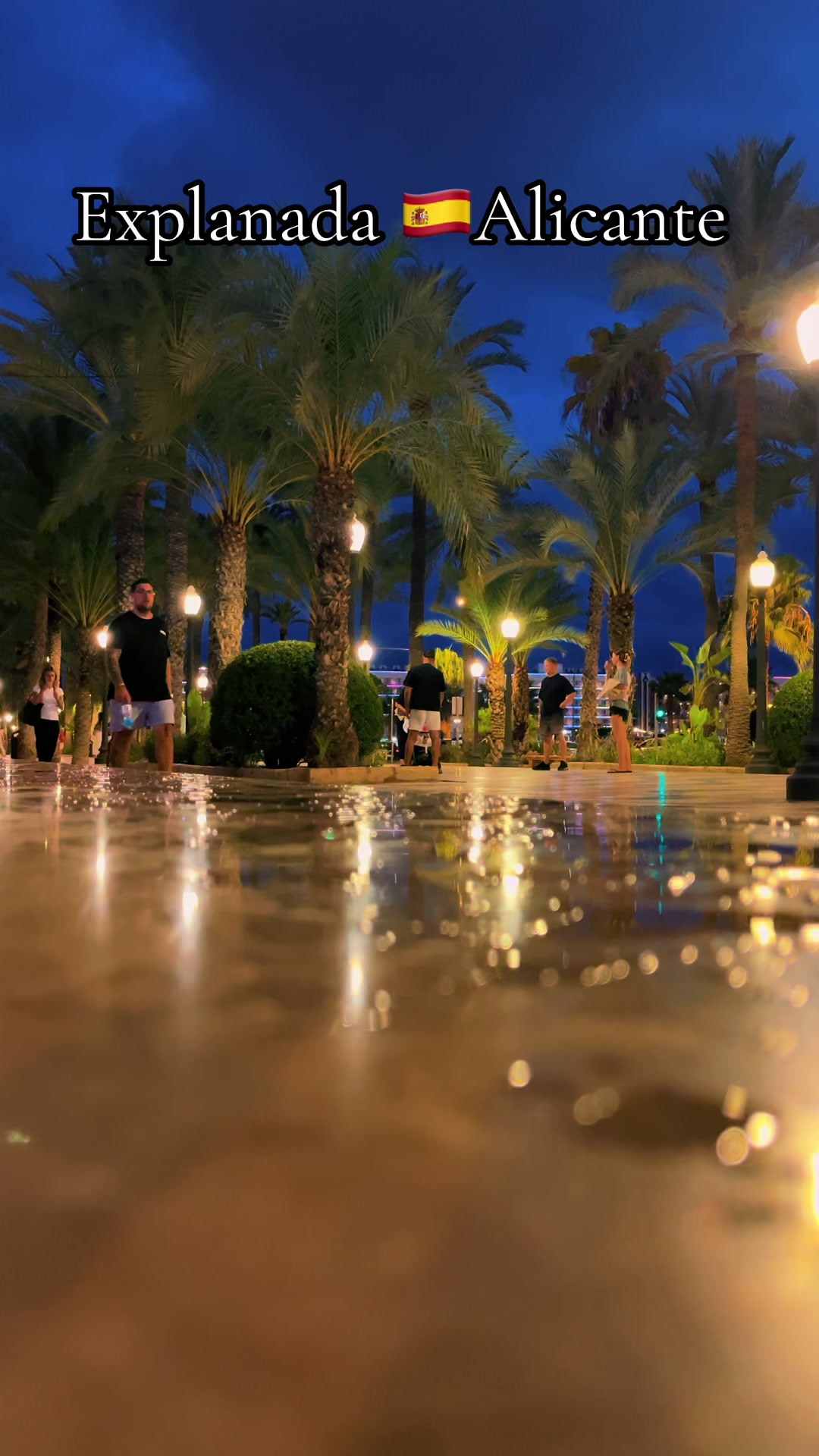 @Alicante el momento🇪🇸🇩🇿