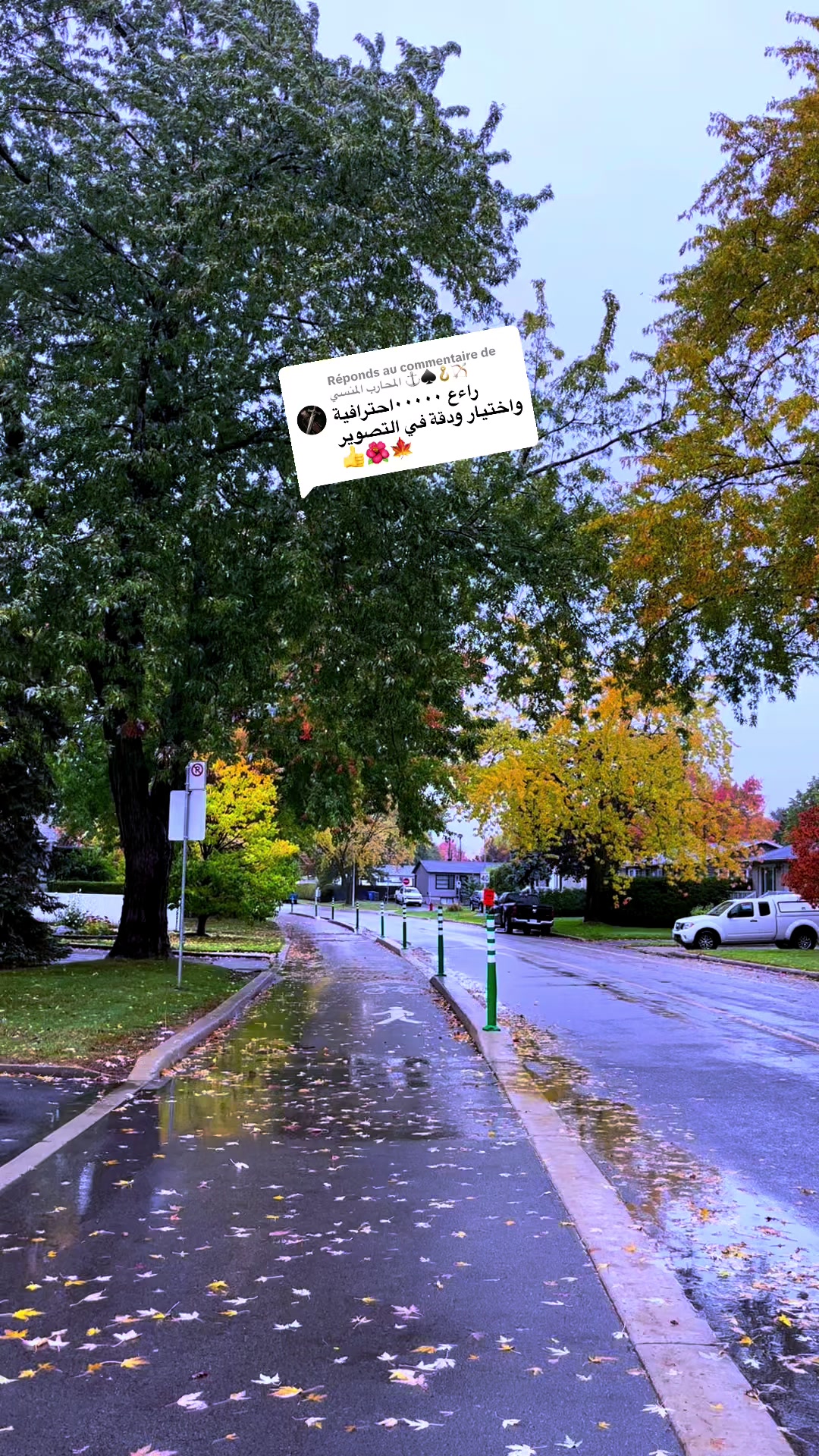 @زهرة🌺الحياة🍯🇨🇦