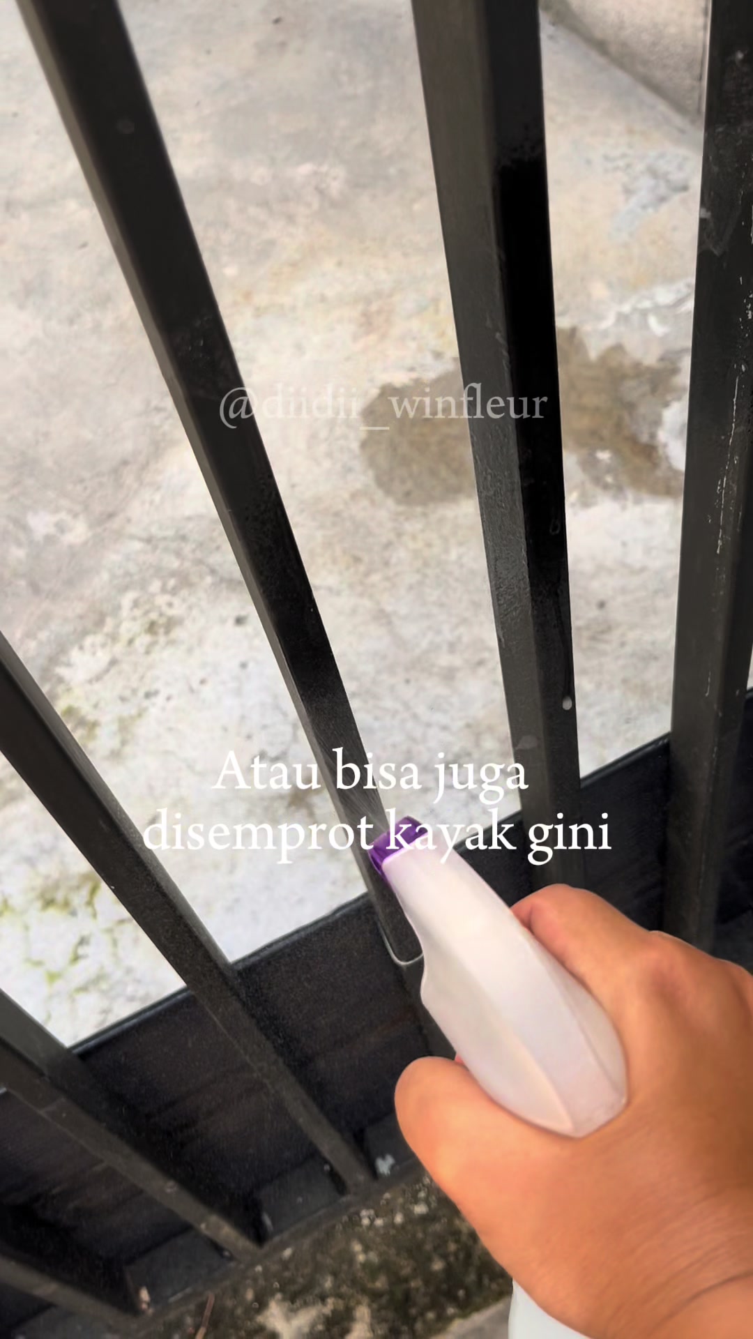 @Diary's Diidii