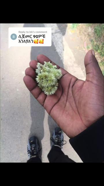 @MIKAW 90&rsquo;s