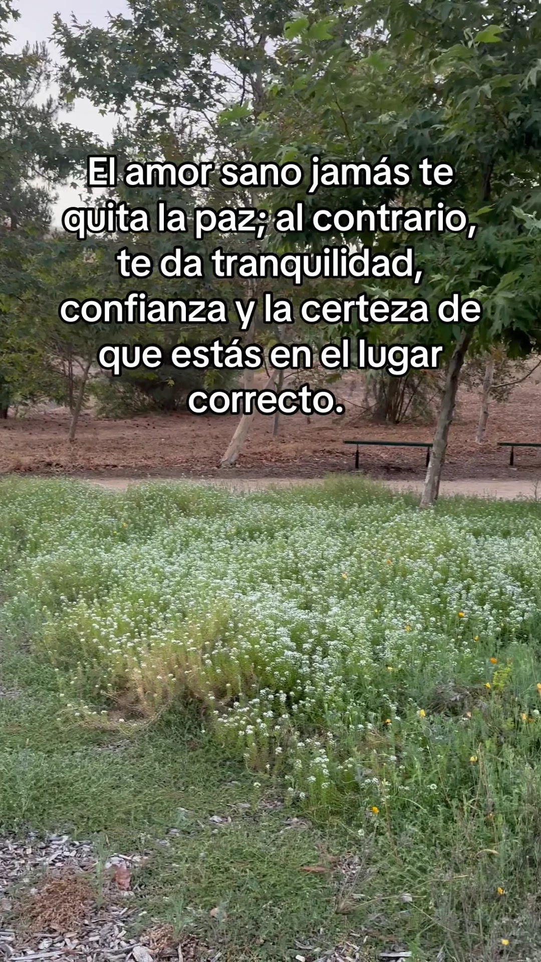 @rebeca.gr04