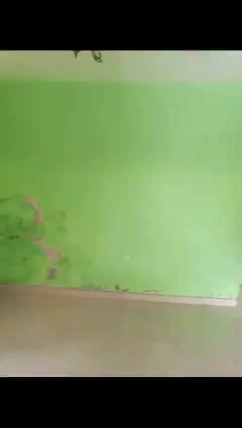 @MOMAINTS GROUP sarl