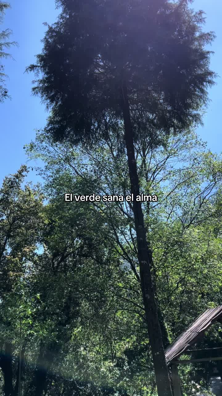 @𝑅𝑒𝓎𝓃𝒶🎀