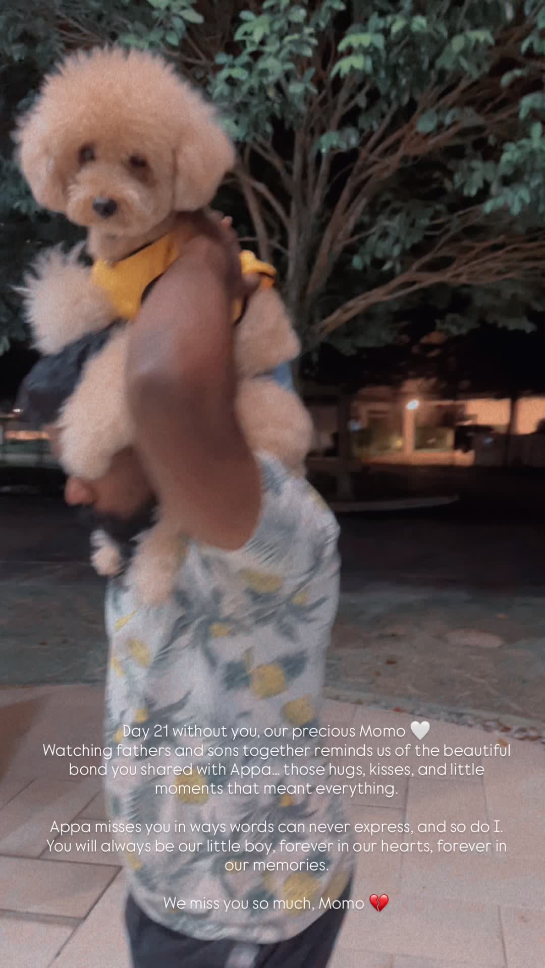 @Lolitha Beauty