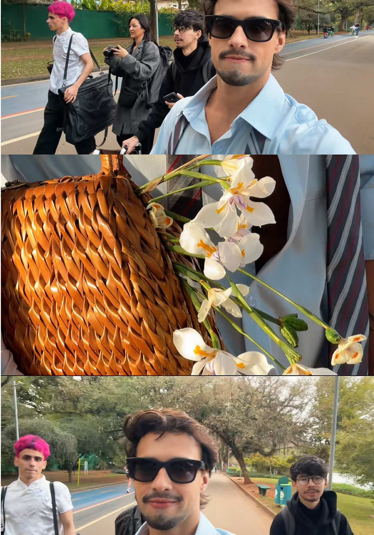 @pedrolutz