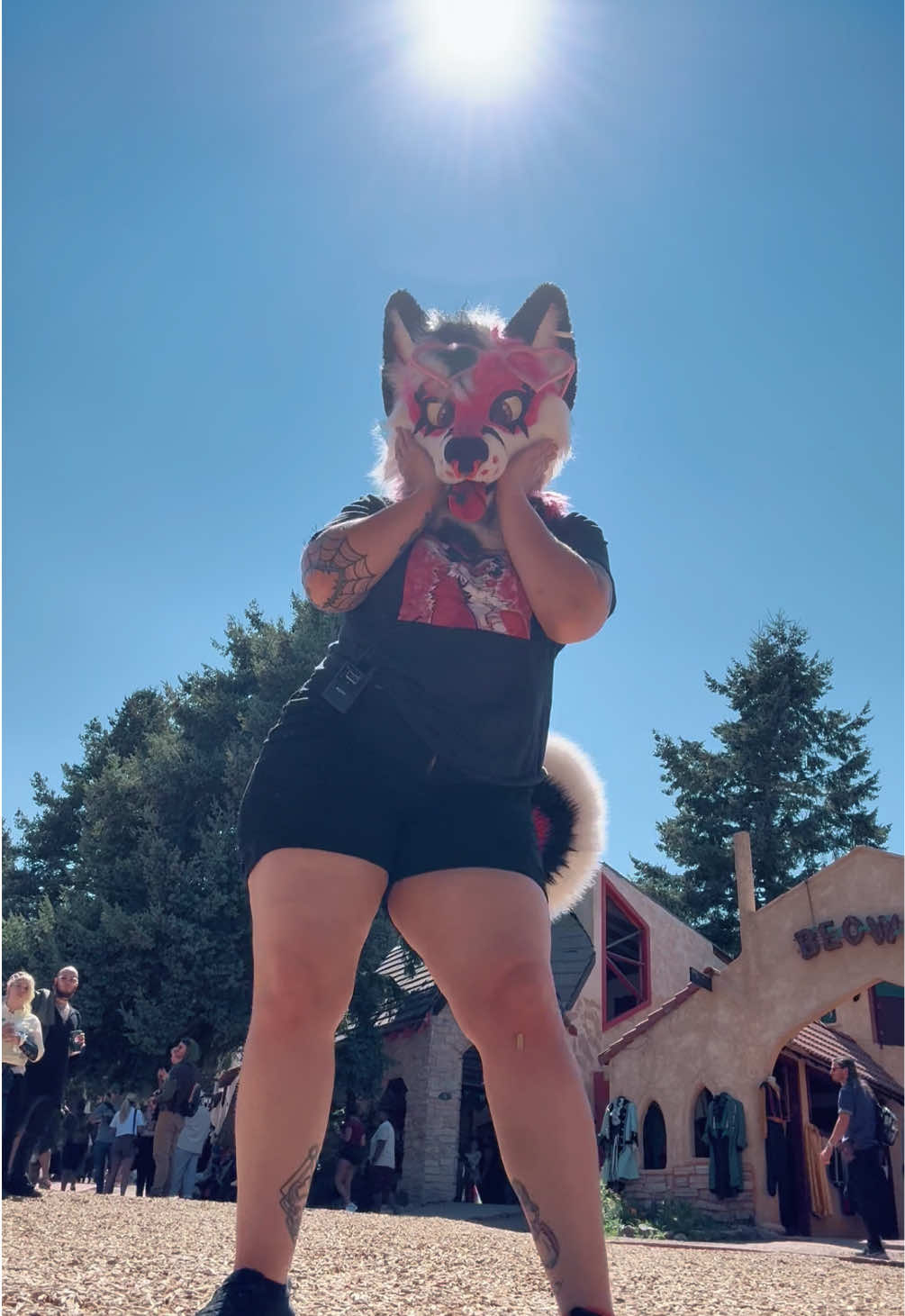 @pinkgeminihuskyofficial