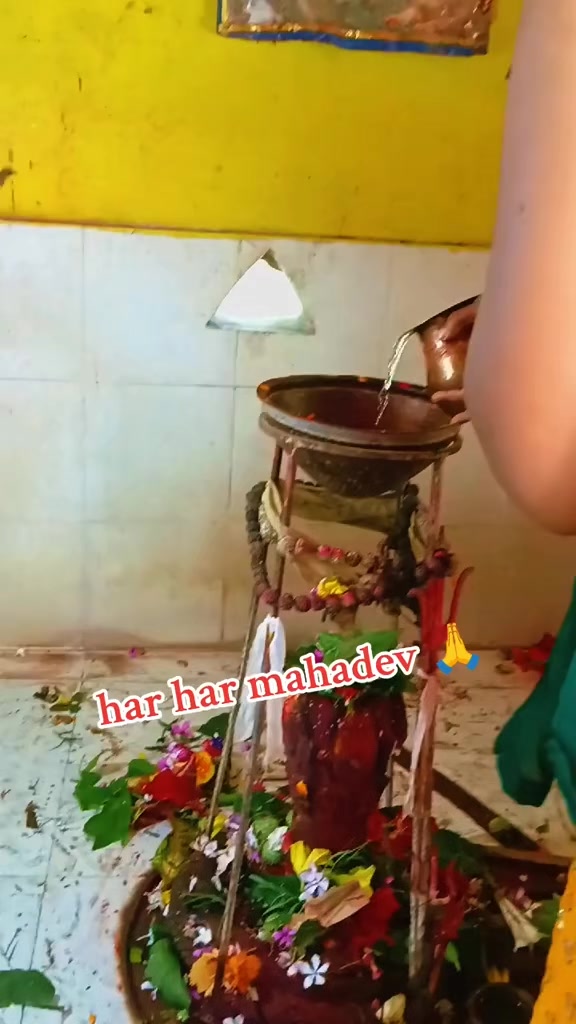 @jesu patel 🥀🌿&hearts;️💕💐🍁🍂🦜🦋