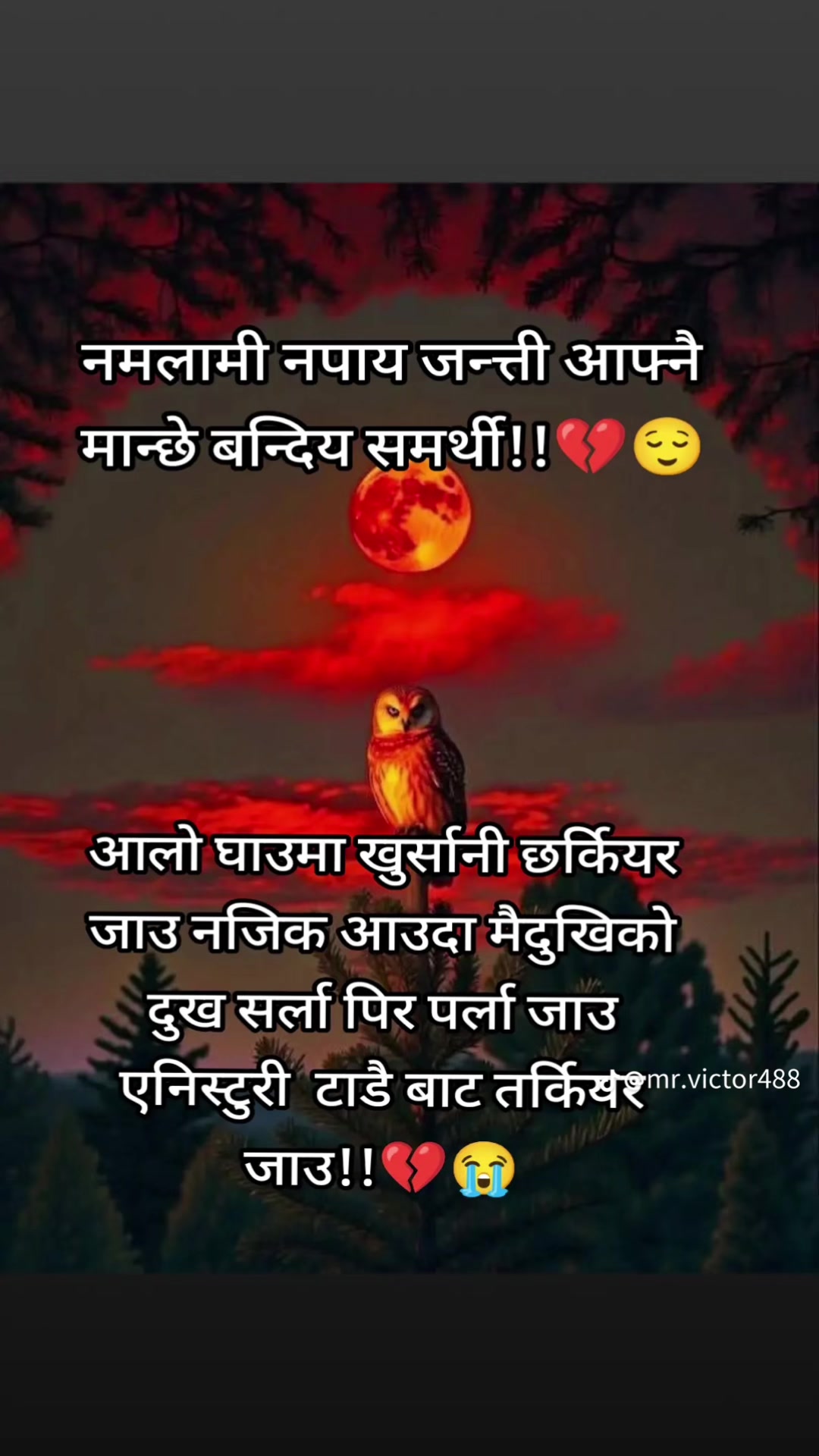 @Bijay Bahadur Chhetri