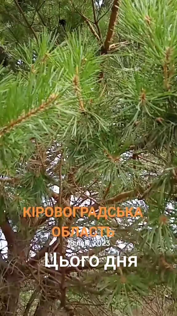 @Сокур НадіЯ