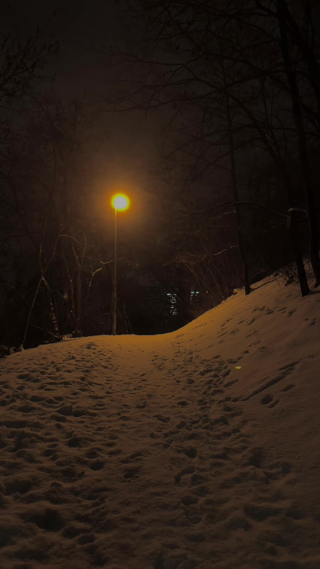 @nekoma