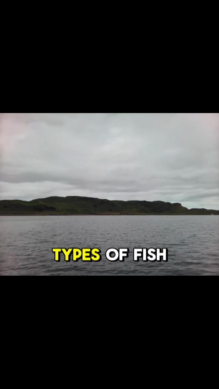 @Finbobmgraw