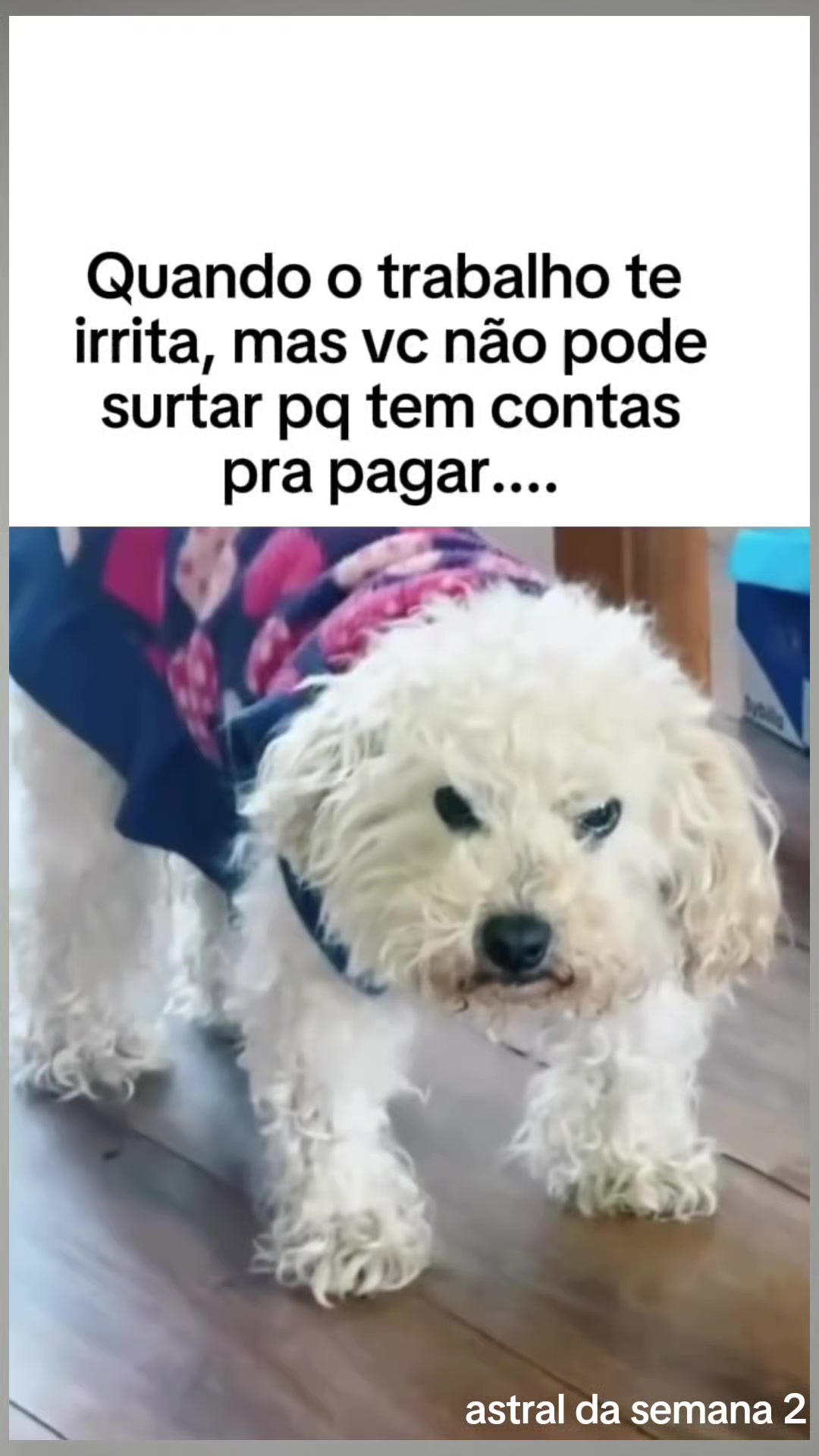 @Astral da semana 2