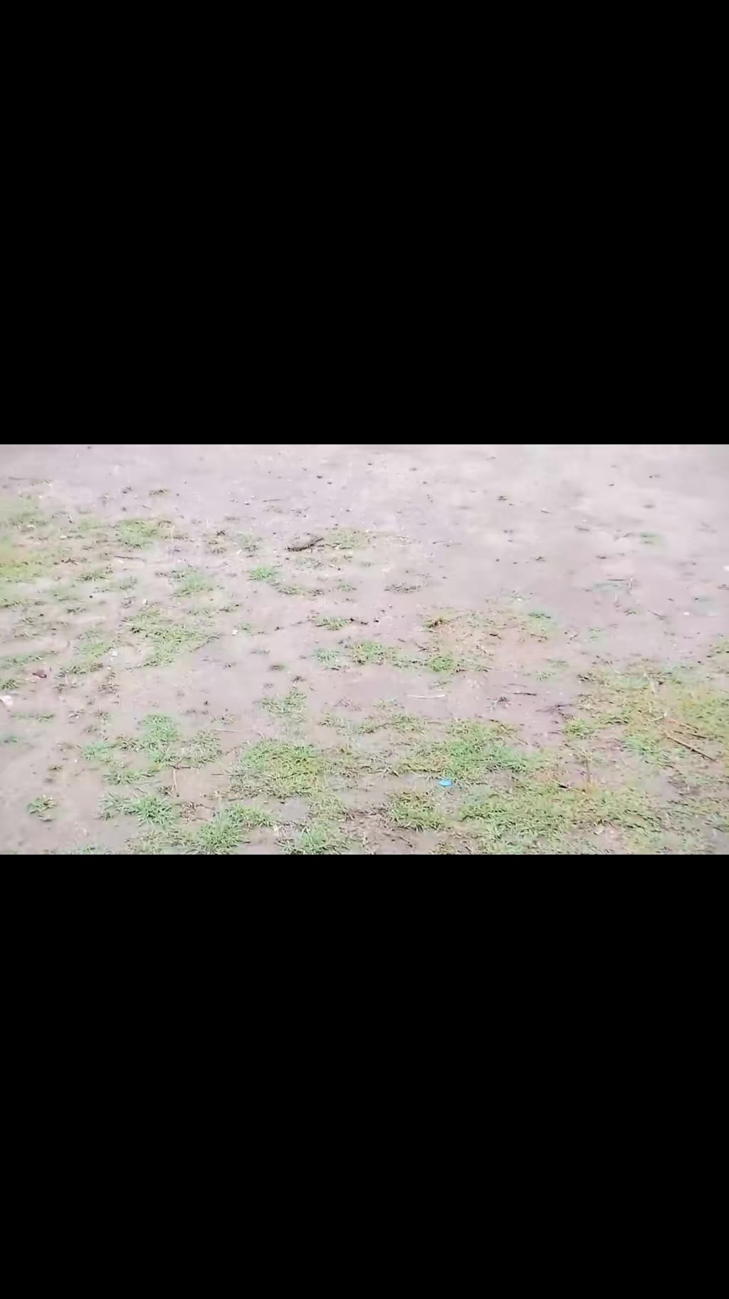 @đŽđšđ˛đĢshimulbagan_1đĢđˇđŽđš