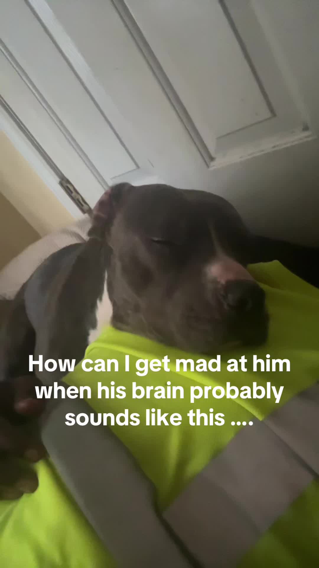 @sammysosafrm803