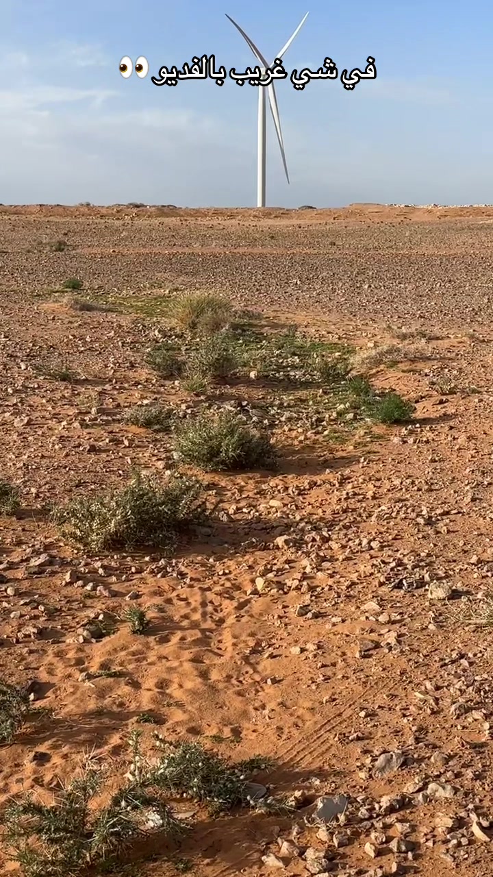 @نواف بن فرحان