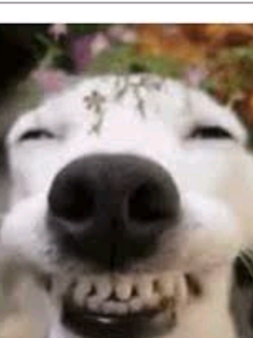 @Unspoken_
