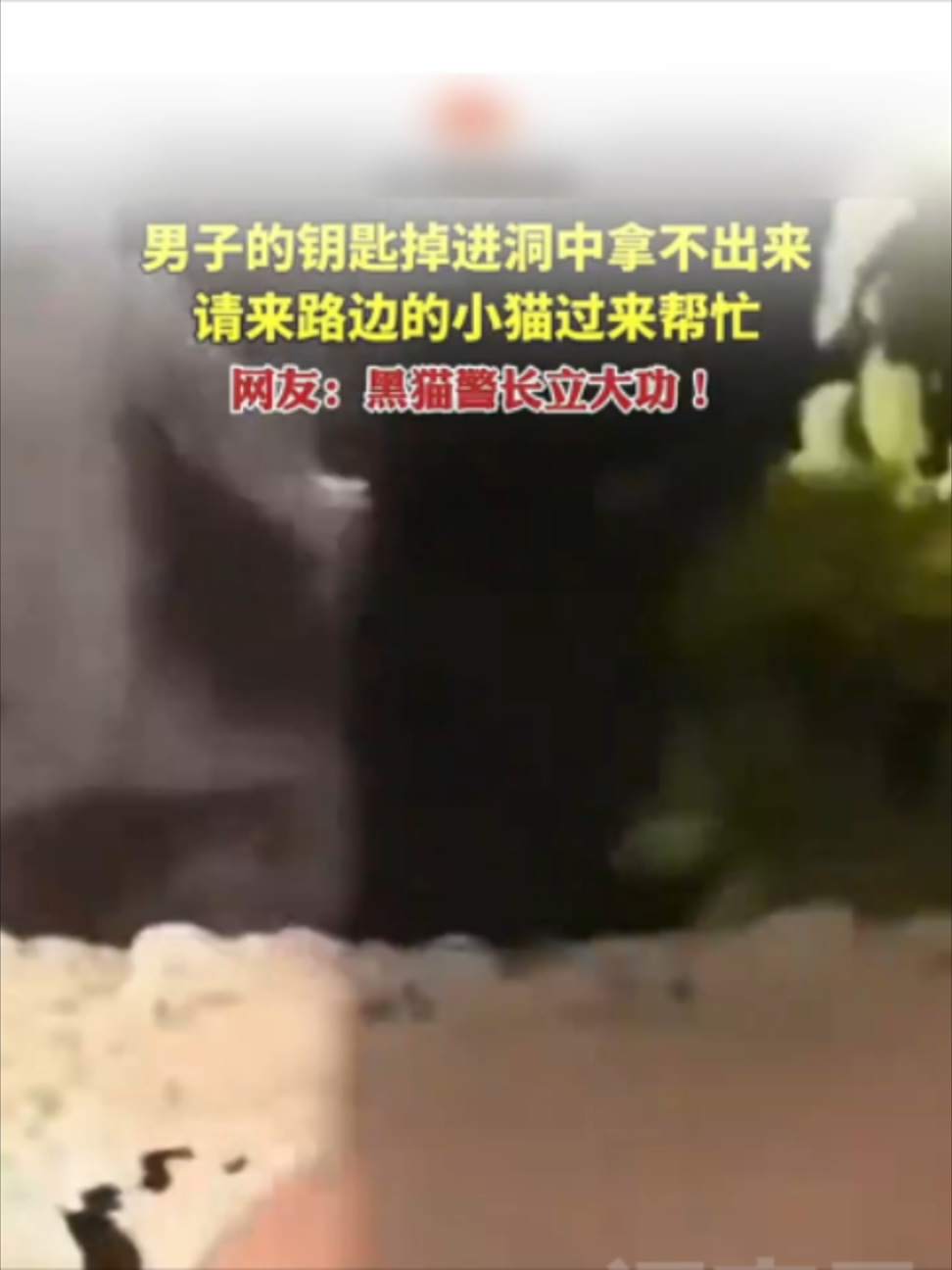 @闽南风~