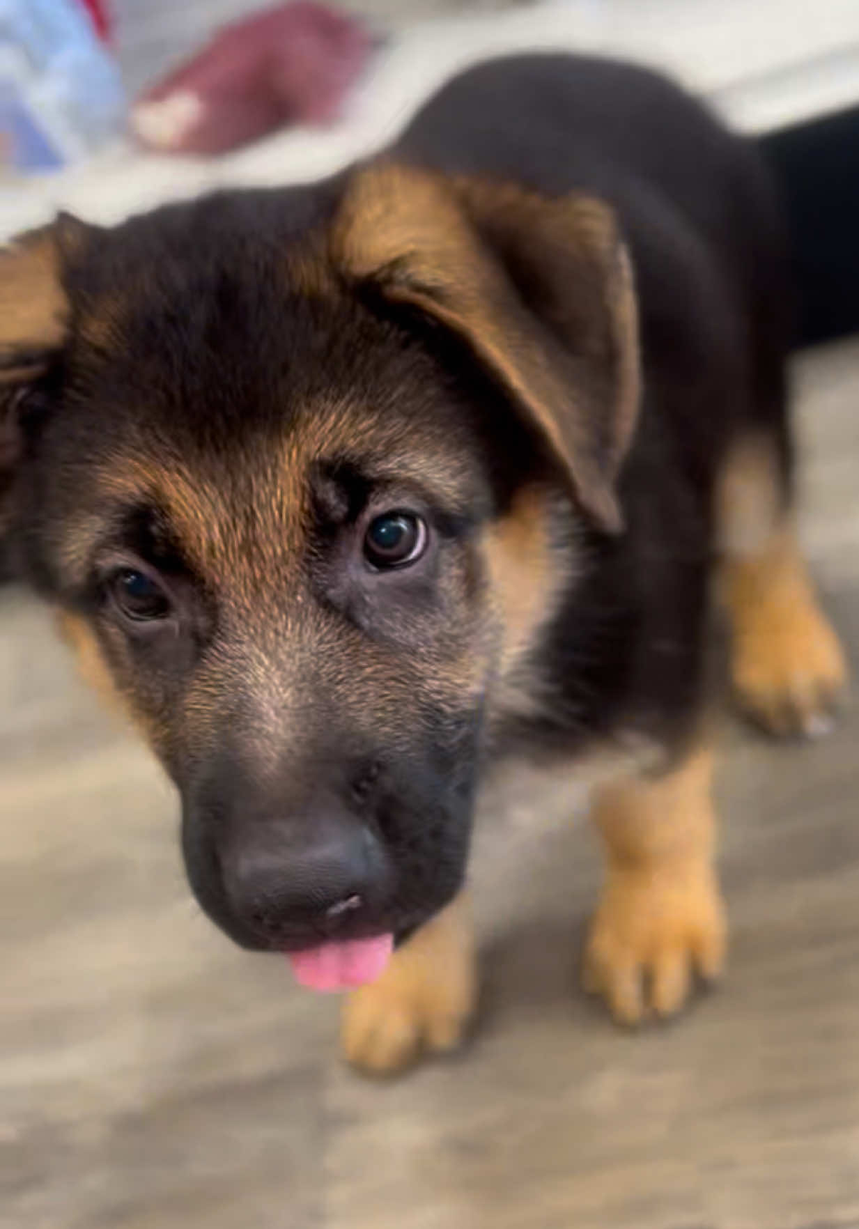 @Petland Oklahoma City
