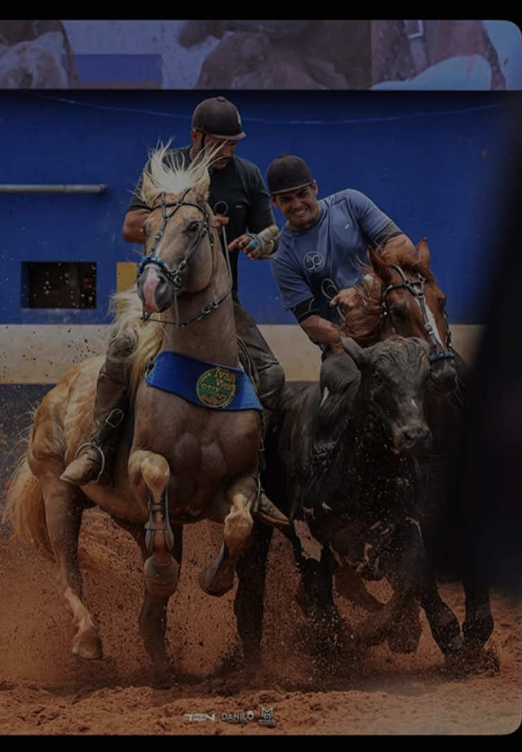 @forr&oacute; de vaquejada