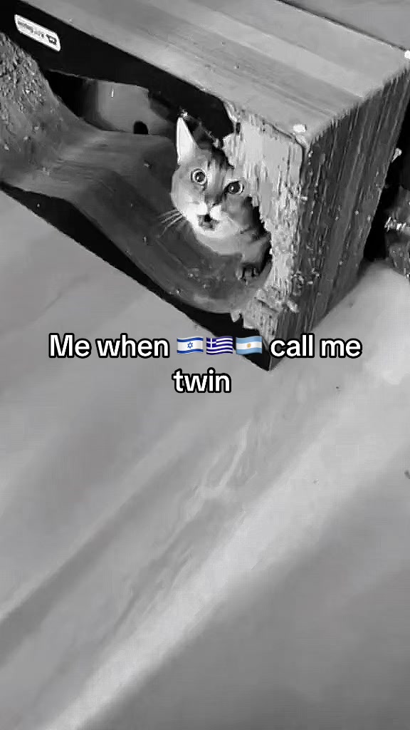 @🪖