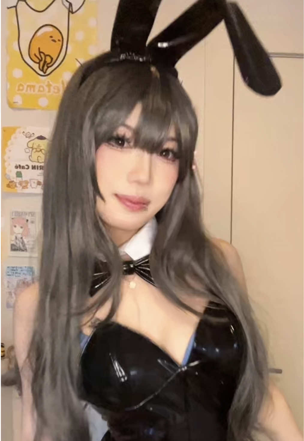 @ttv/succubunny