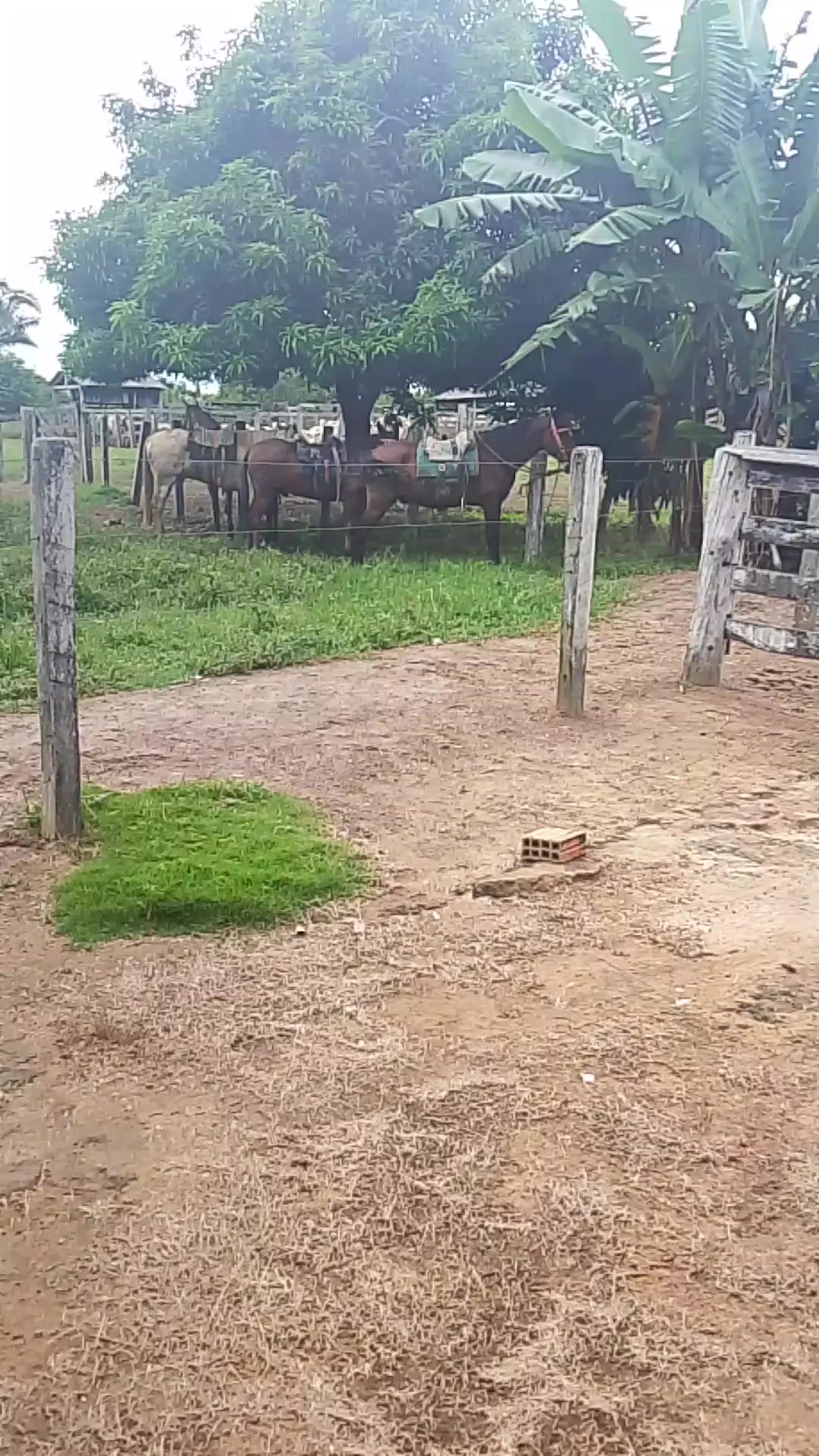 @Menina&Da ro&ccedil;a🤠