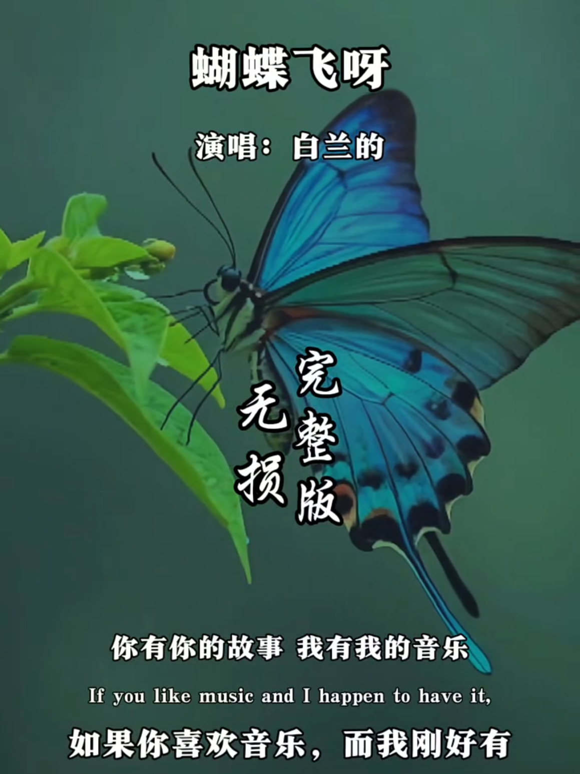@美丽的世界
