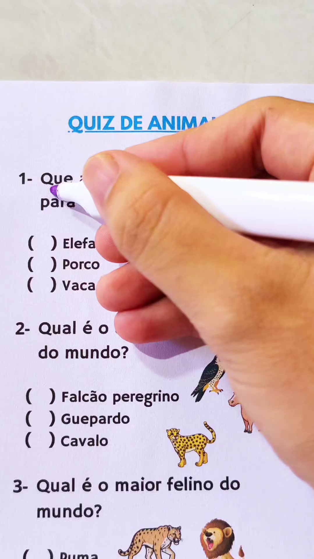 @Daily Quiz