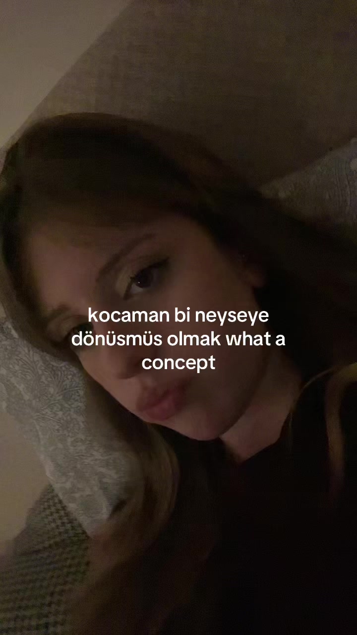 @bilge.adamreis