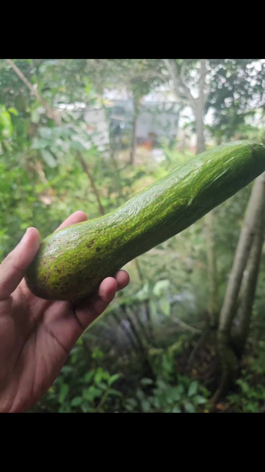 @Tờ Riết sắp c&oacute; bồ 🇻🇳