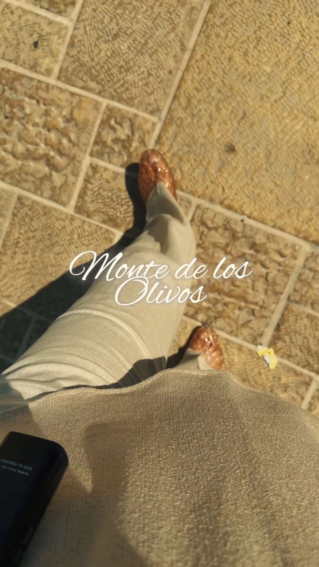 @Lu Sandoval