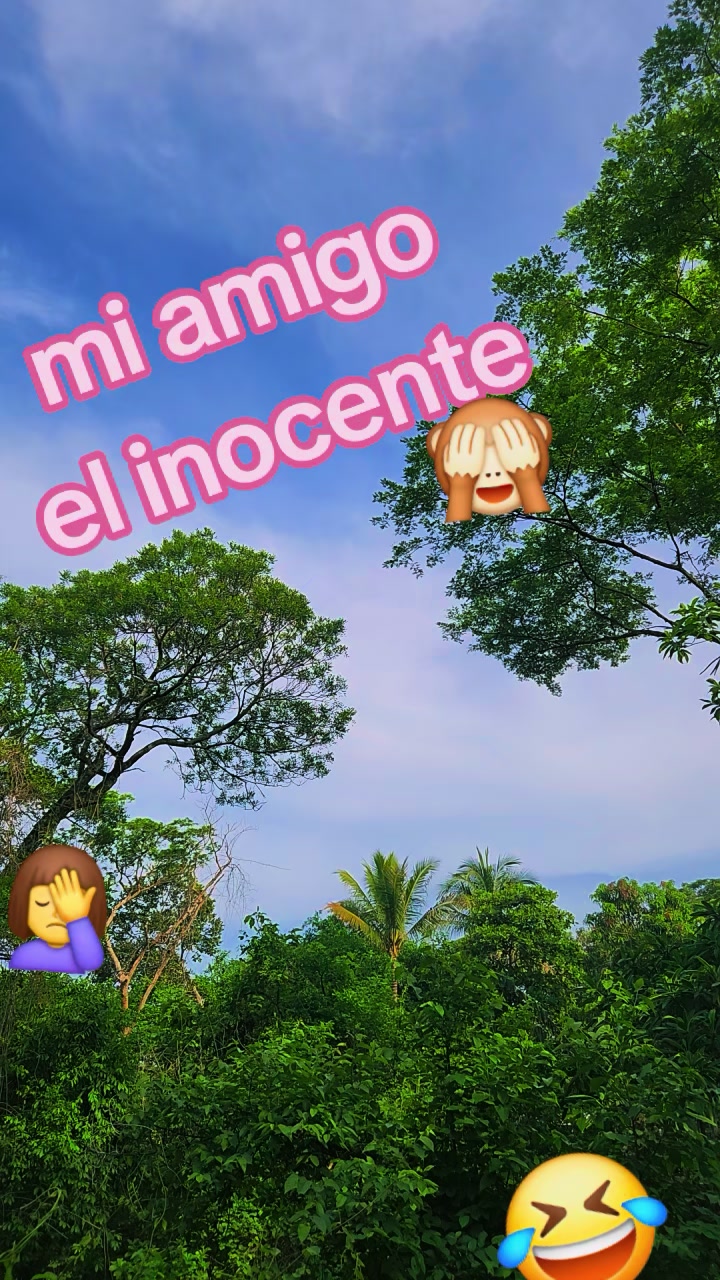 @fina de Par&iacute;s