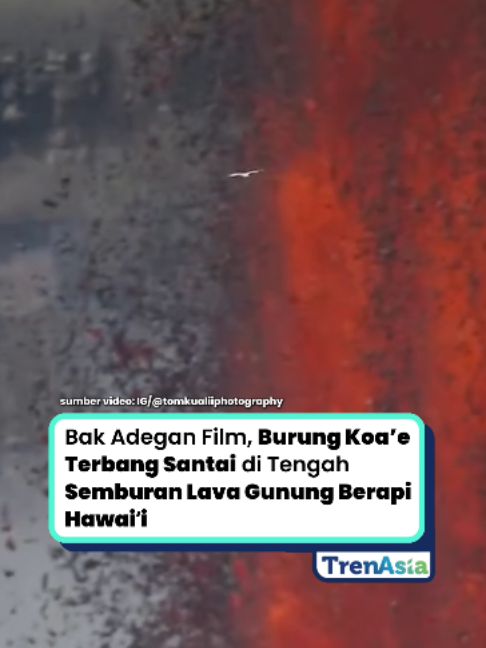 @TrenAsia | Informasi & Bisnis