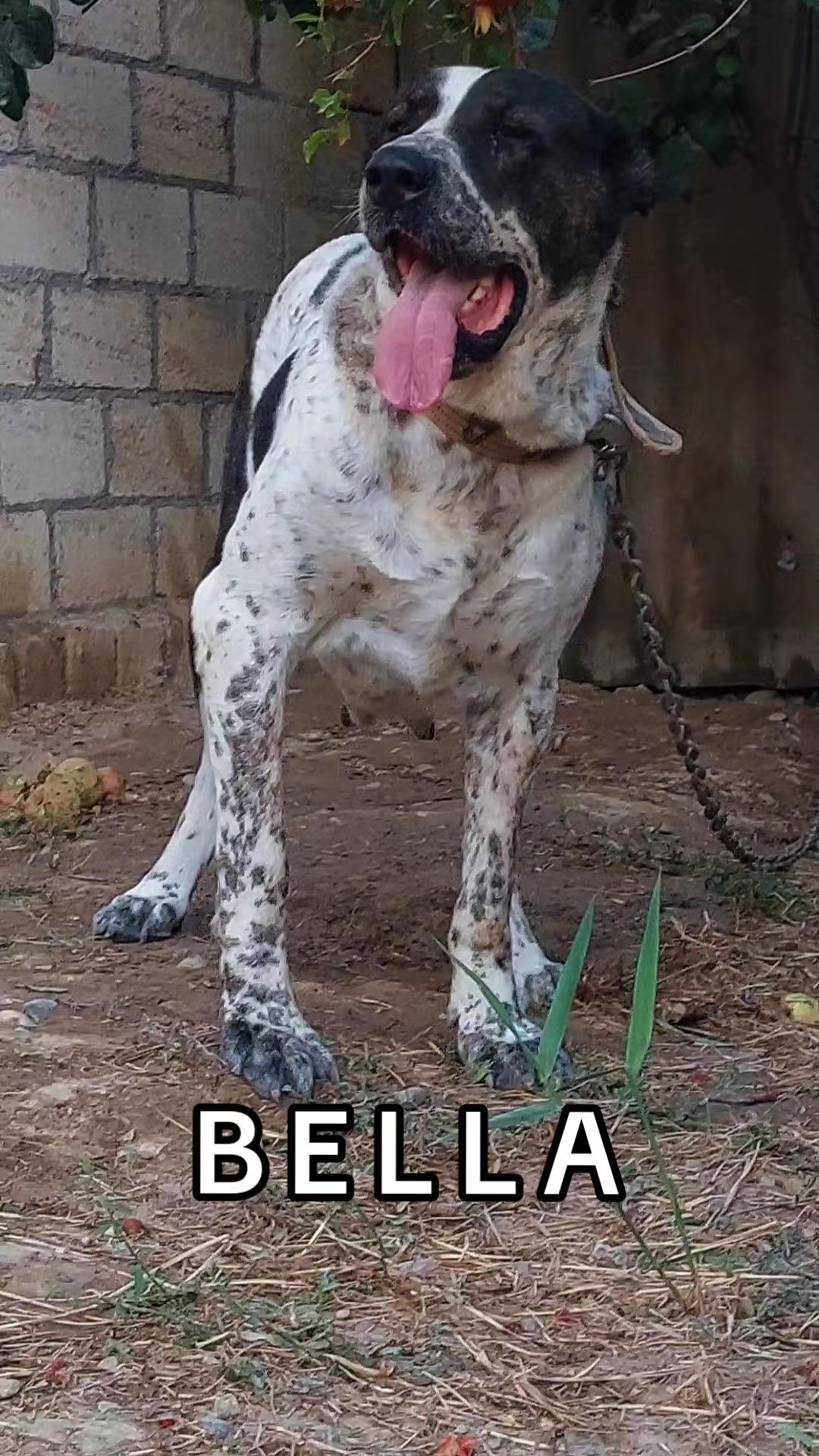 @Elşad__007