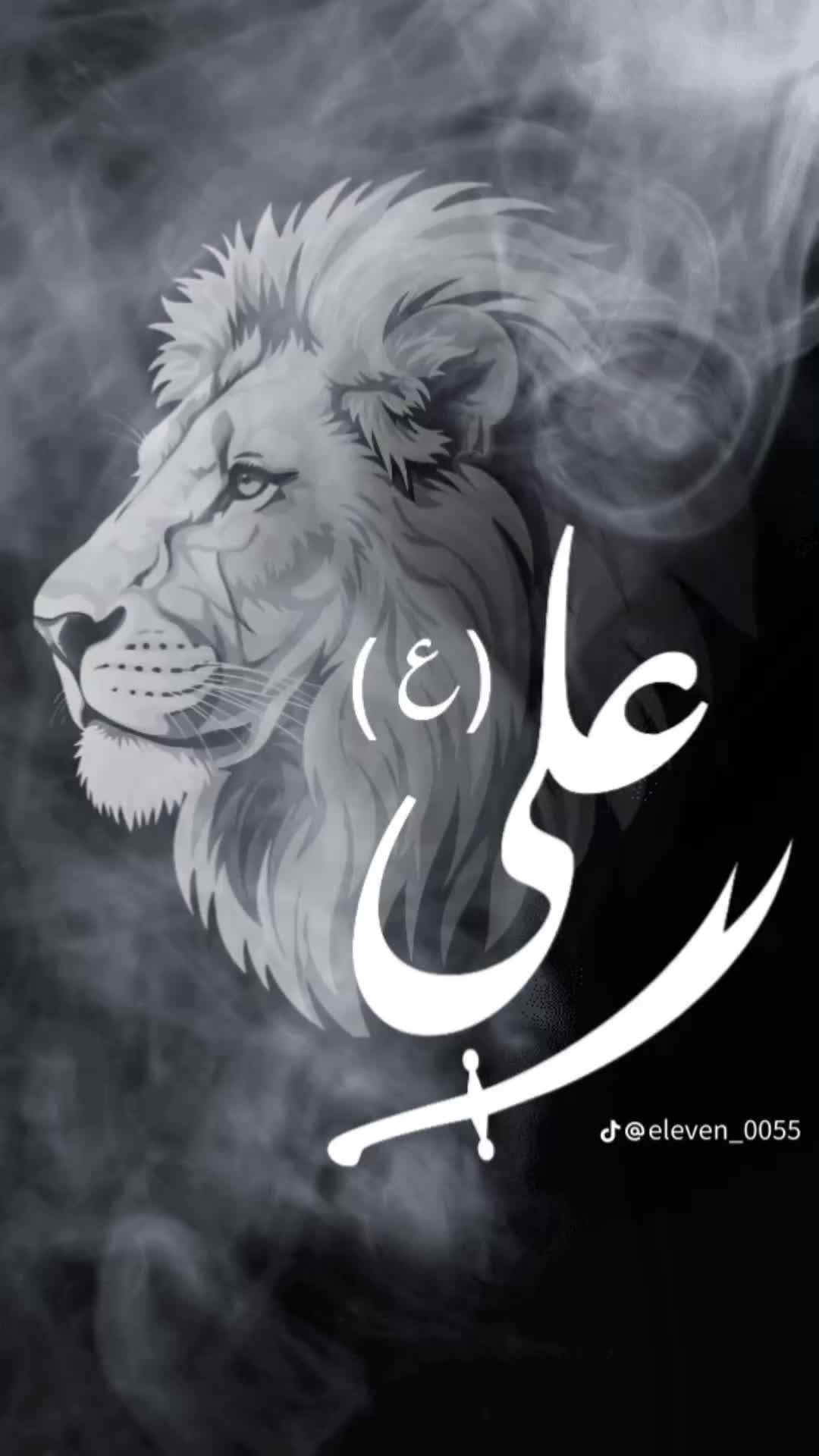 @fakhar-e-syed🚩🚩🚩🏴🏴