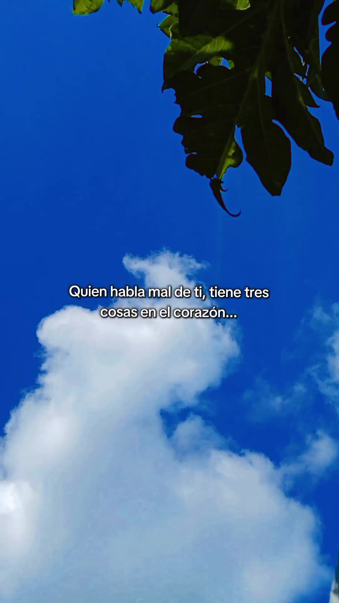 @Geemely🩷