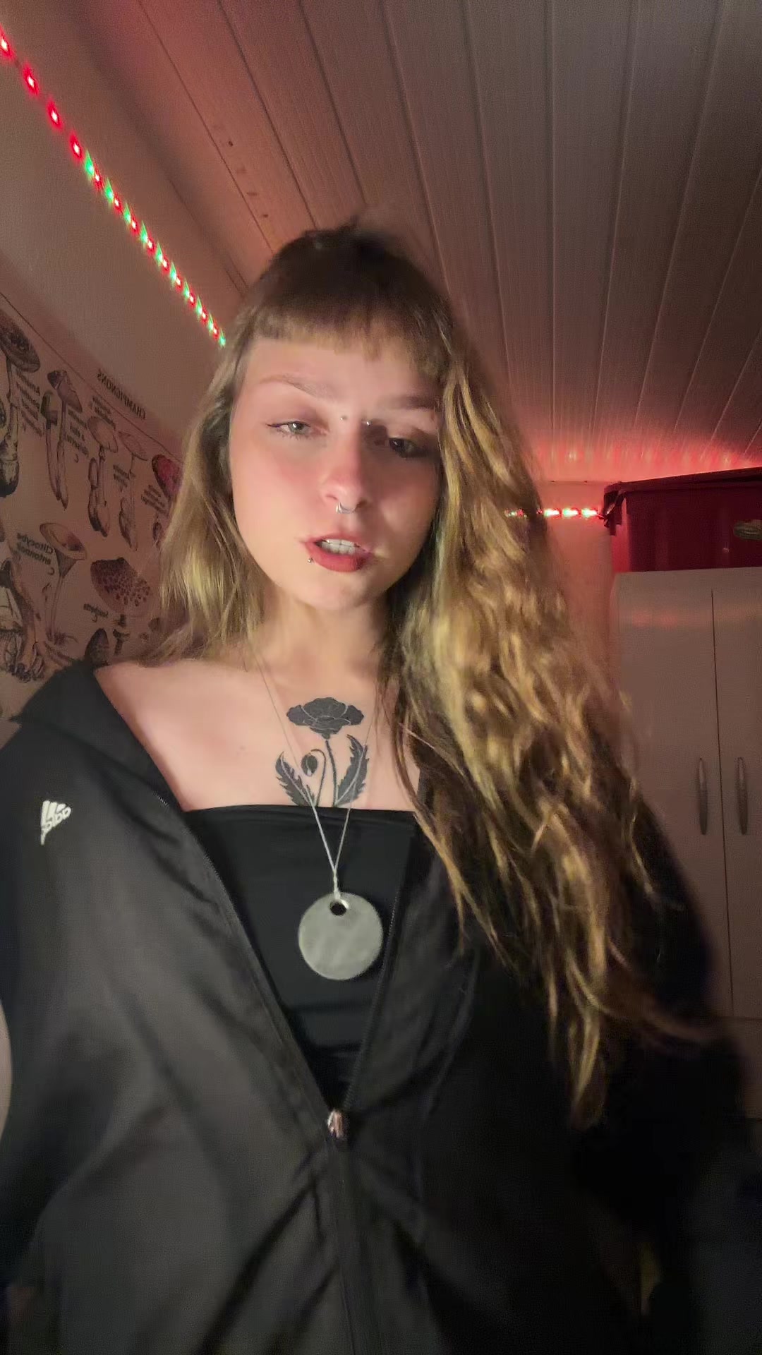 @s0phixnovamente