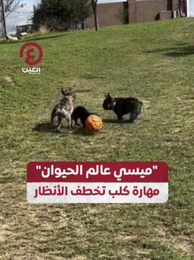 @العين الرياضية