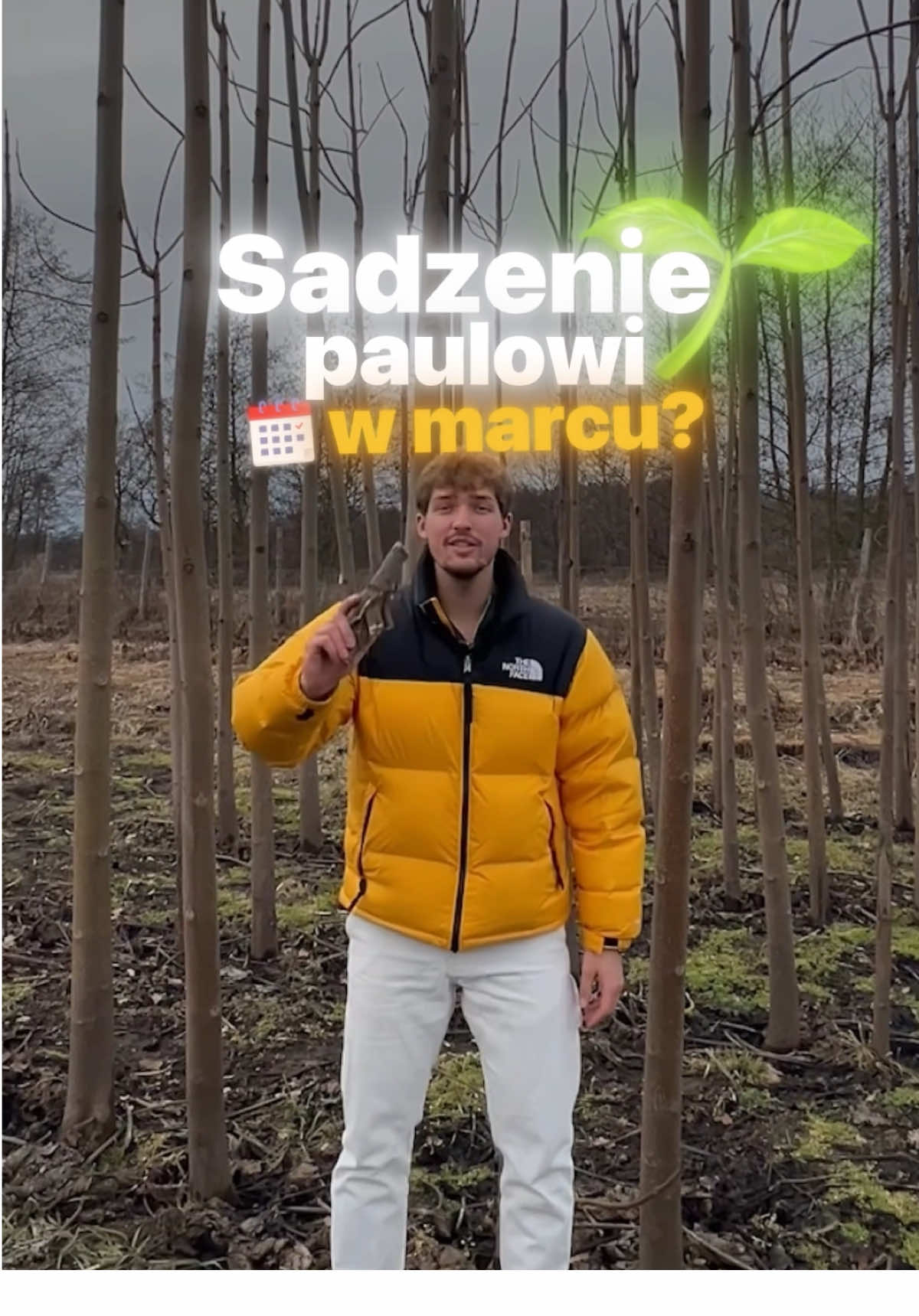 @greenlungspoland