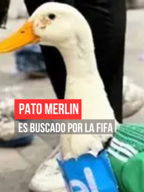 @As&iacute; Sucede Le&oacute;n Noticias