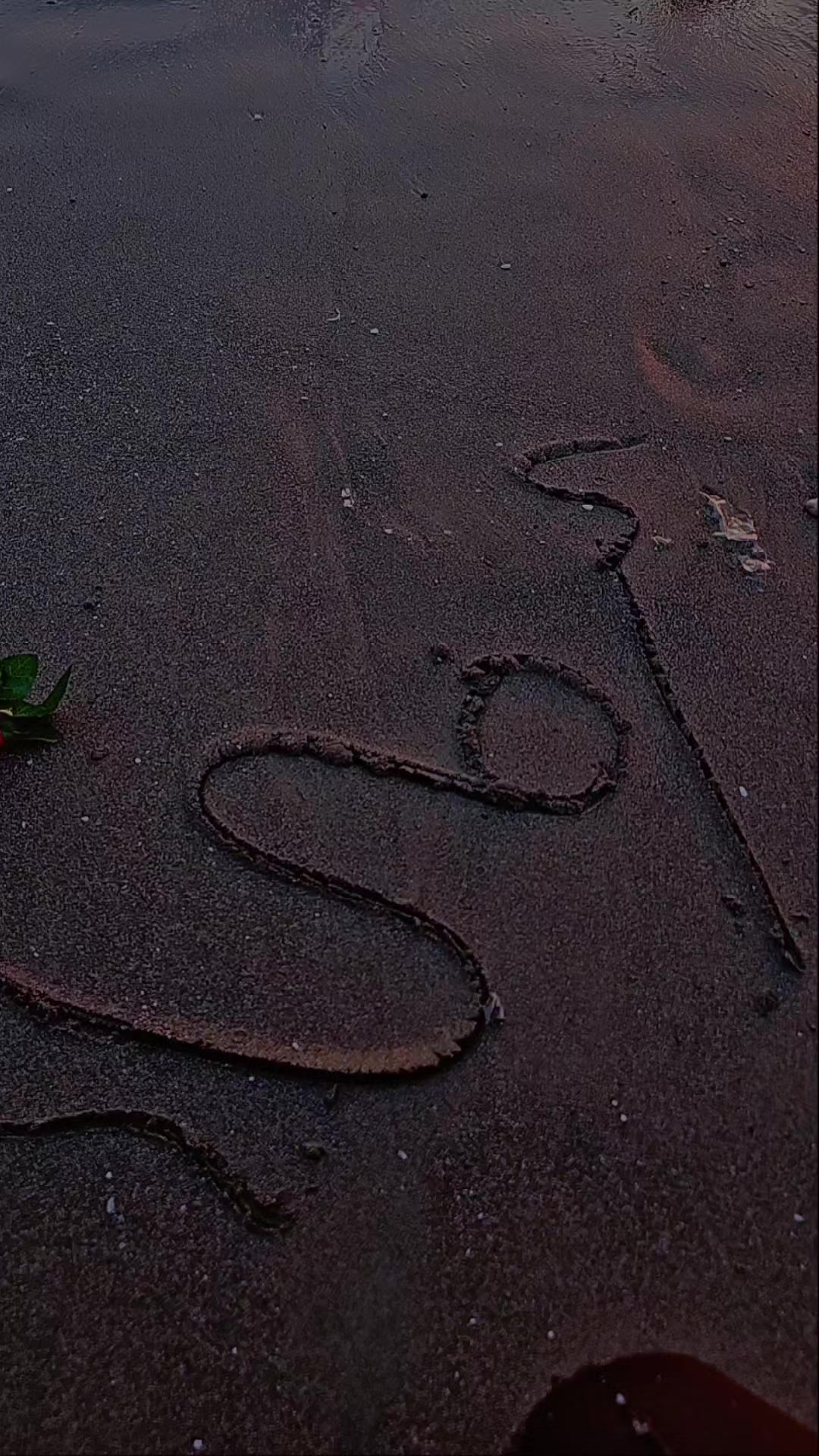 @وُحـ❣ـہيدةّ ♕مـ❣ـہدللهـ❣ـہ♡