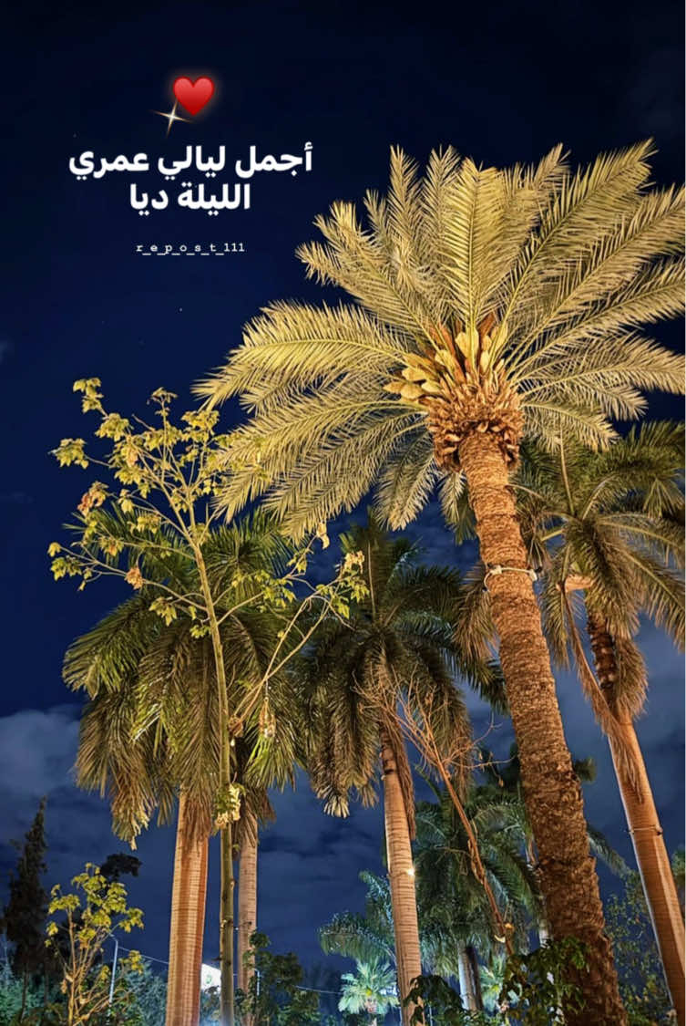 @𝐑𝐄𝐏𝐎𝐒𝐓ا🔁