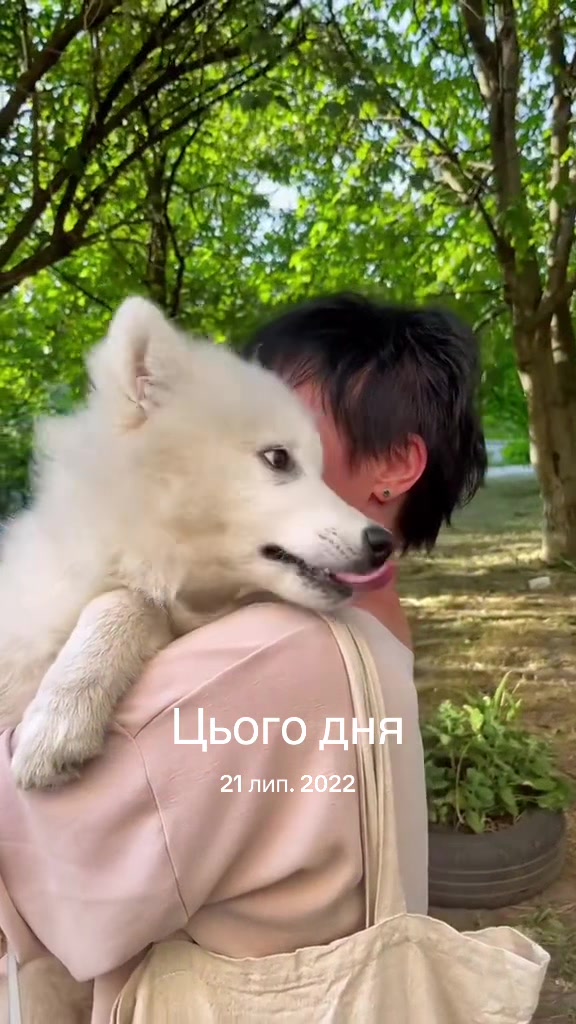 @irazhy