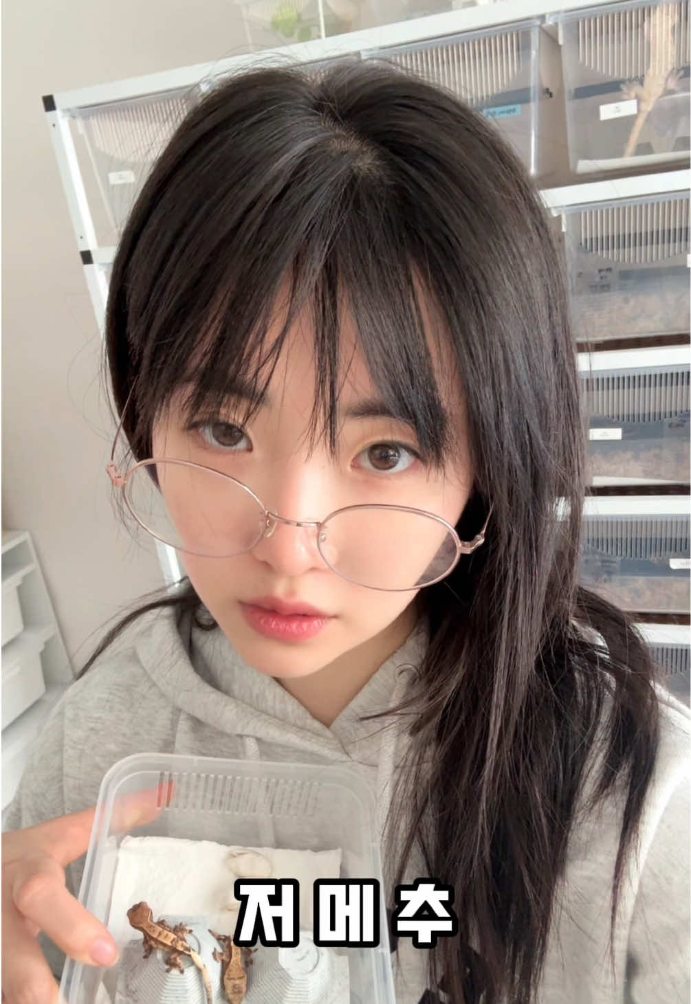@Crenyang